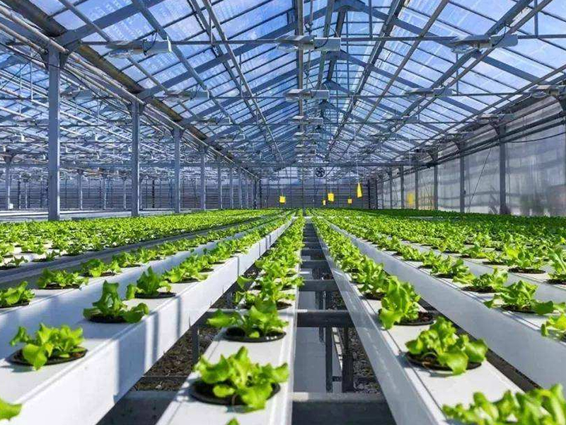 Проекты Европы