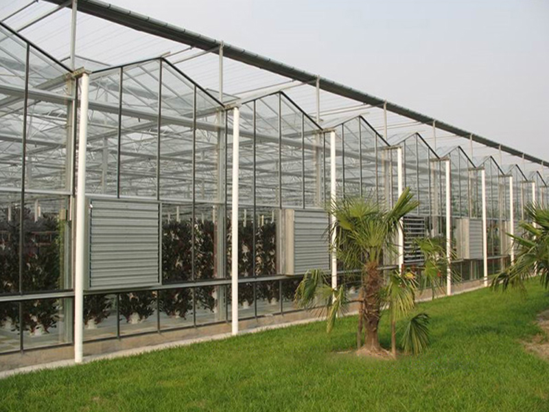 Проекты Европы