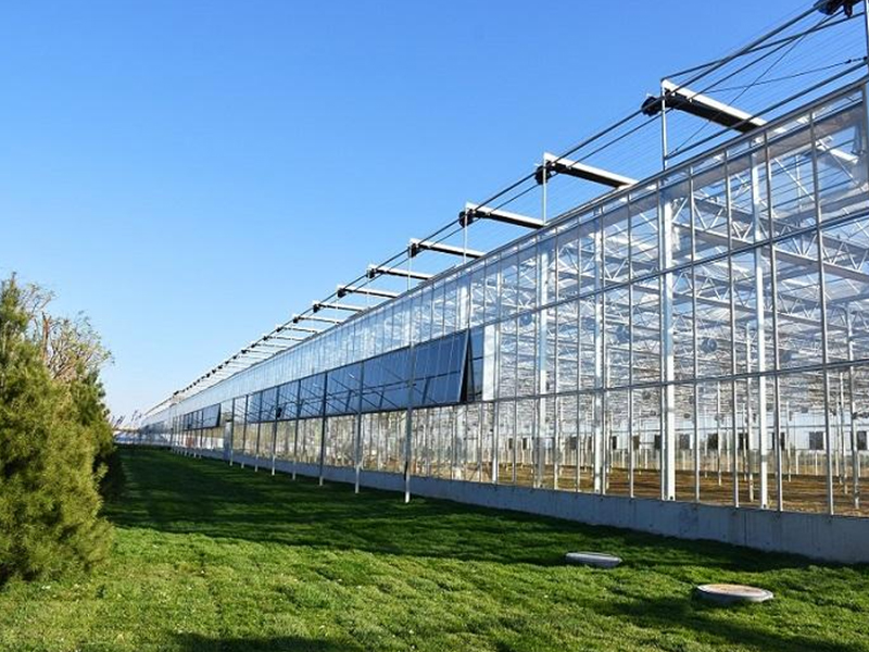 Американские проекты