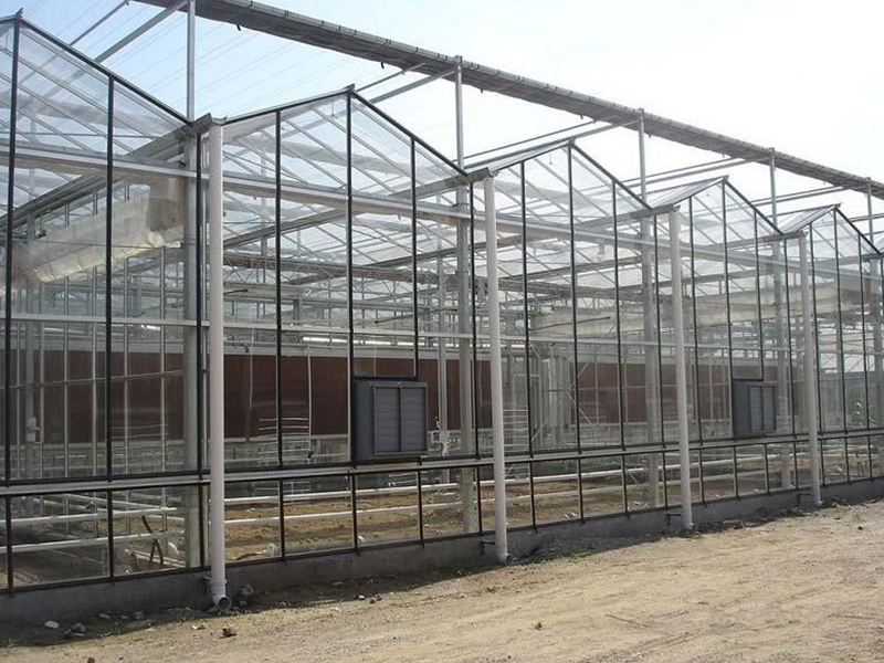 Американские проекты