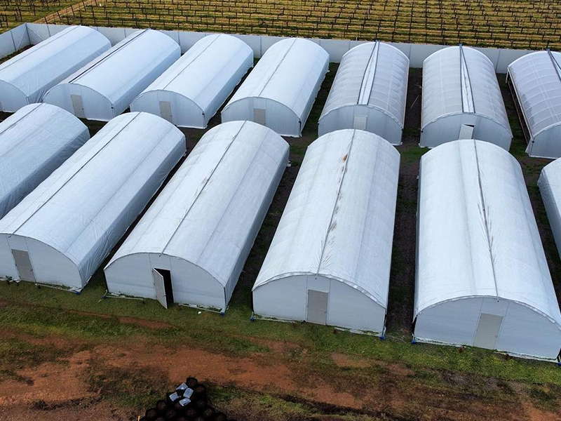 Азиатские проекты