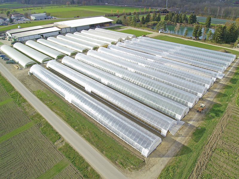 Азиатские проекты