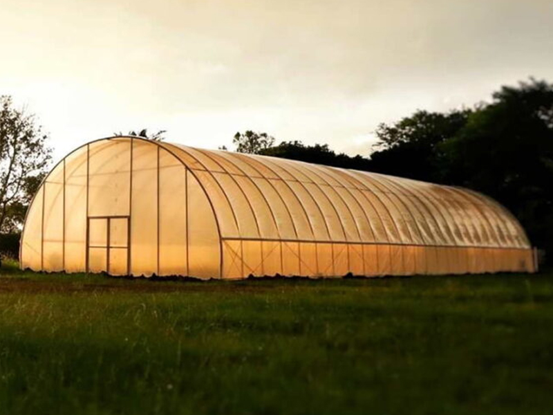 Туннель Single-span теплицы