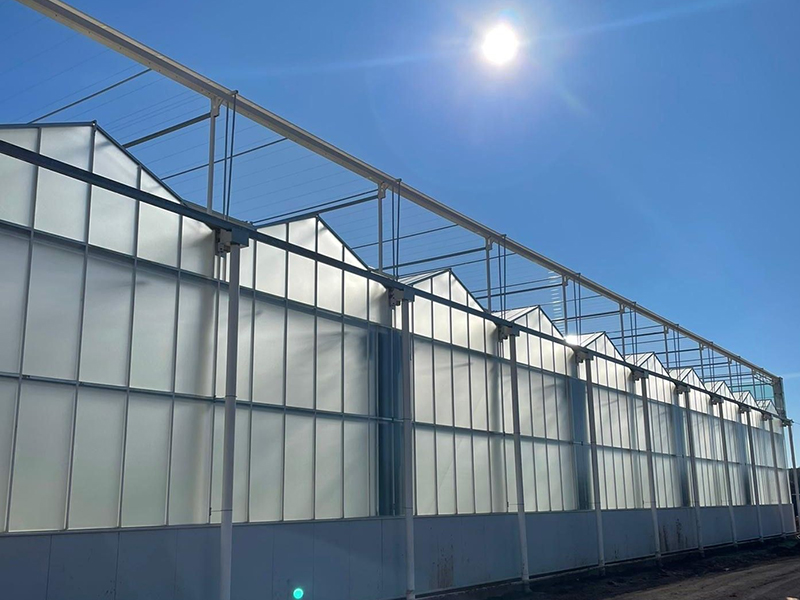 Венло поликарбонатный лист теплицы