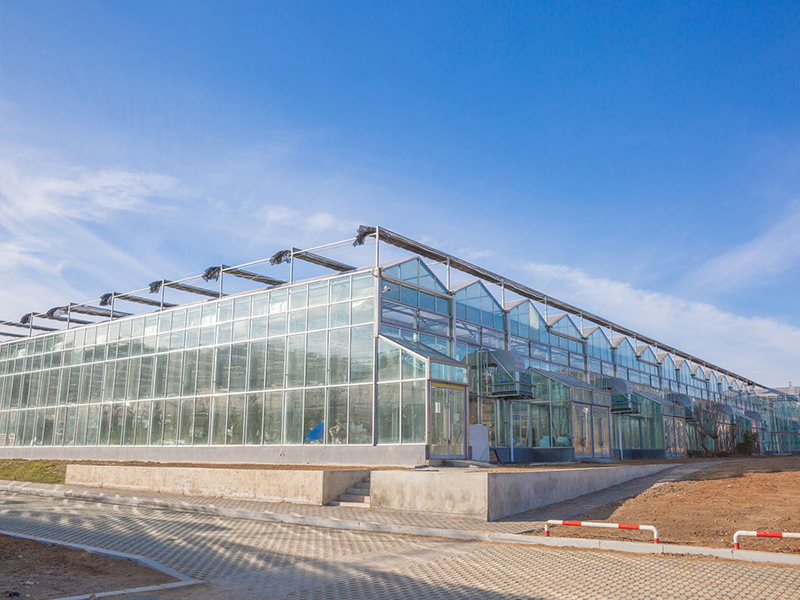 Венло Стекляная теплица