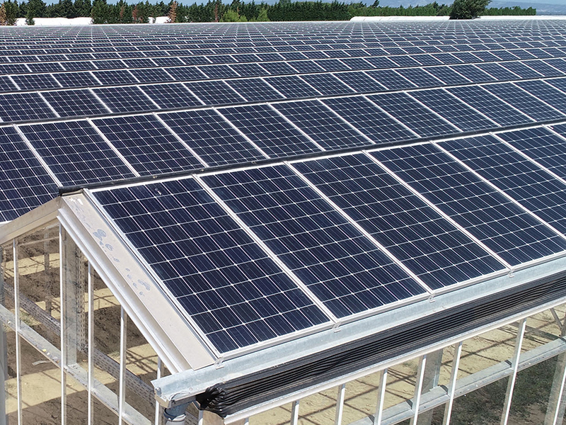 Фотоэлектрическая теплица