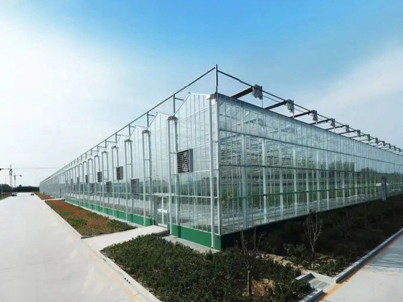 теплицы Венло