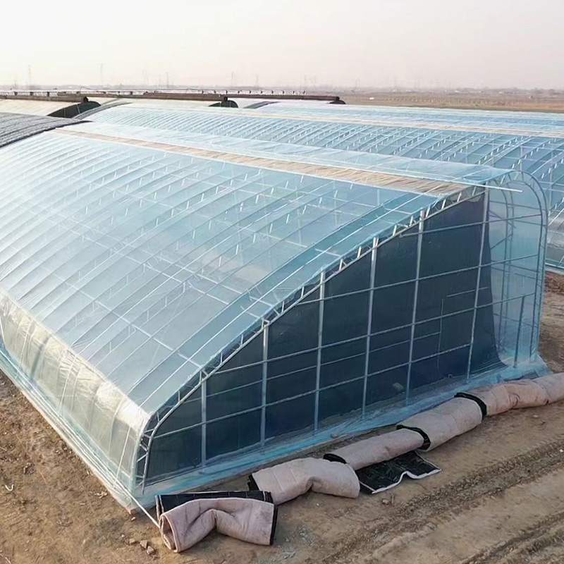 Солнечная теплица