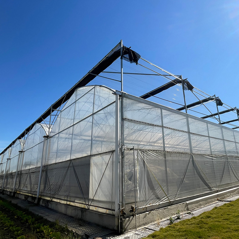 Multi-span/канализация соединить теплицу