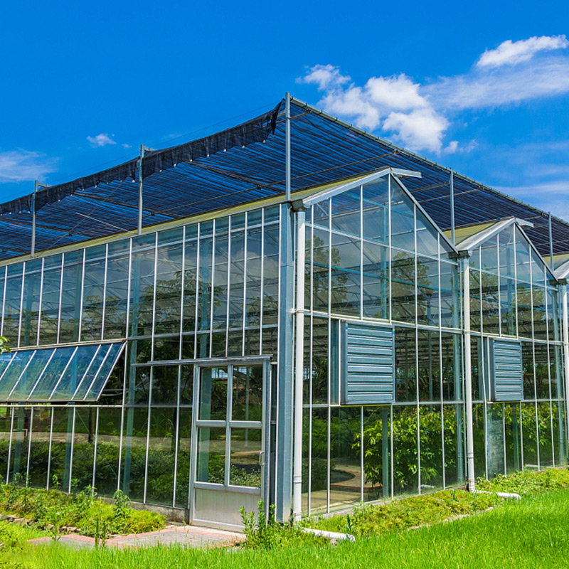 теплицы Венло