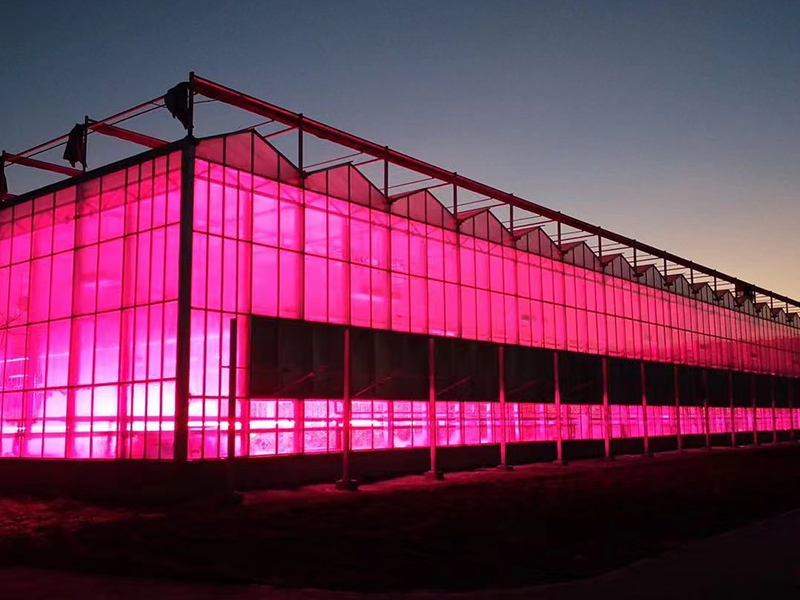 теплицы Венло