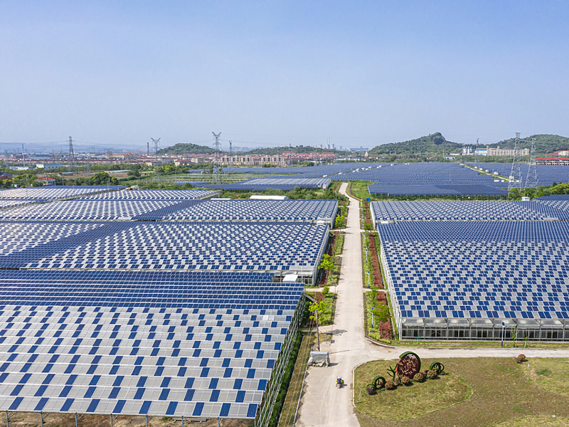 Фотоэлектрическая теплица