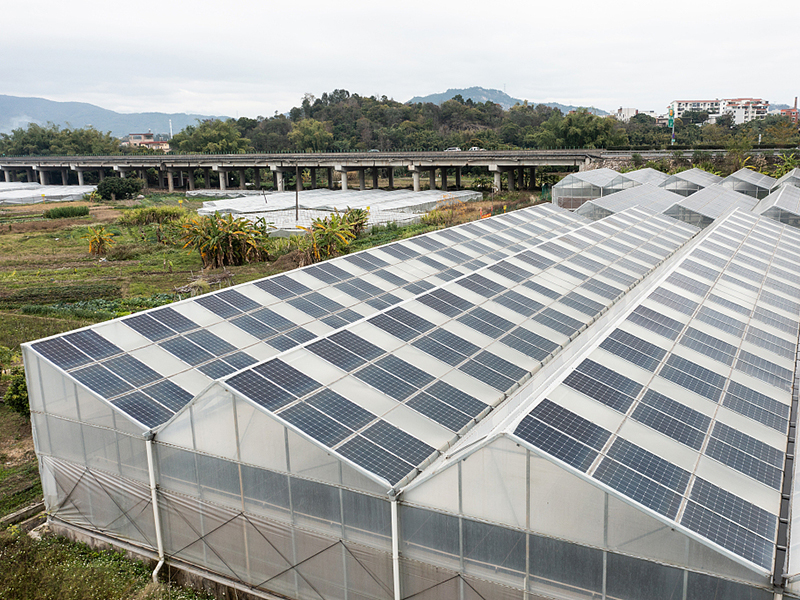 Фотоэлектрическая теплица