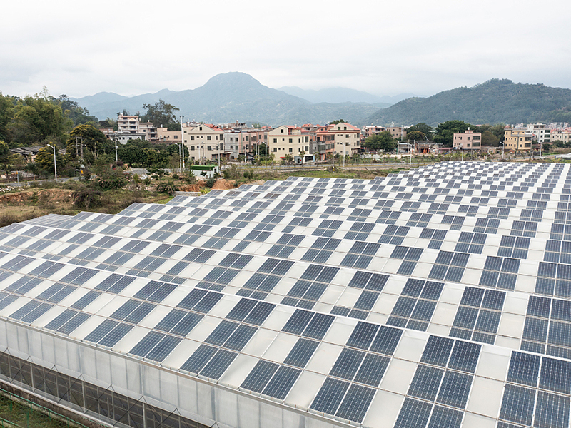 Фотоэлектрическая теплица