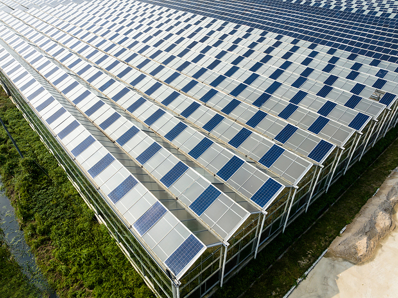 Фотоэлектрическая теплица