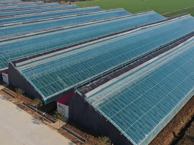 Китайская солнечная теплица