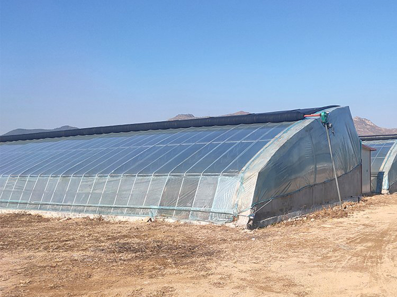 Китайская солнечная теплица