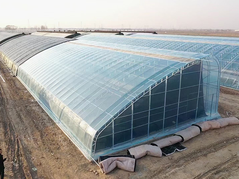 Китайская солнечная теплица