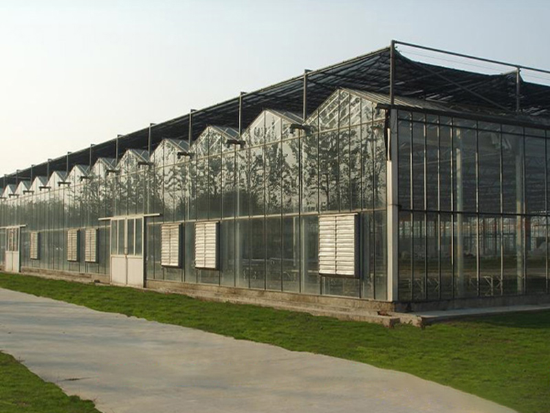 теплицы Венло
