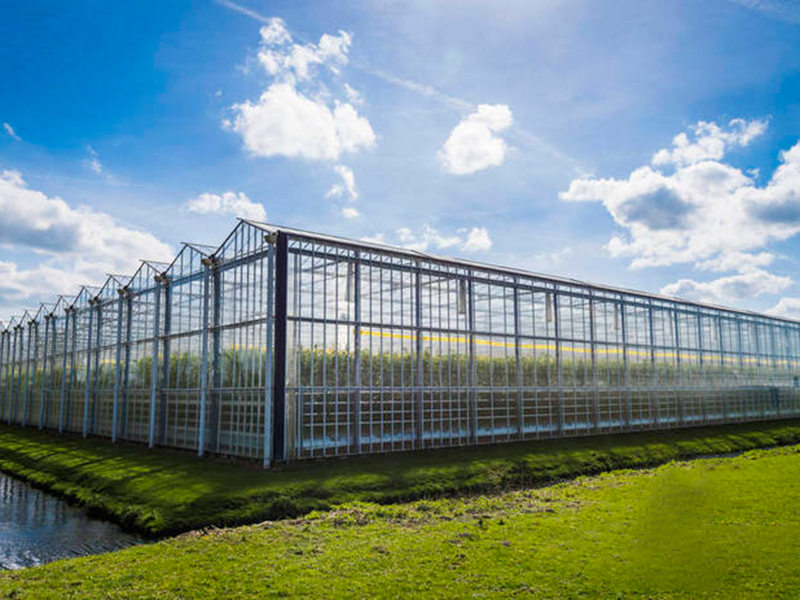 теплицы Венло