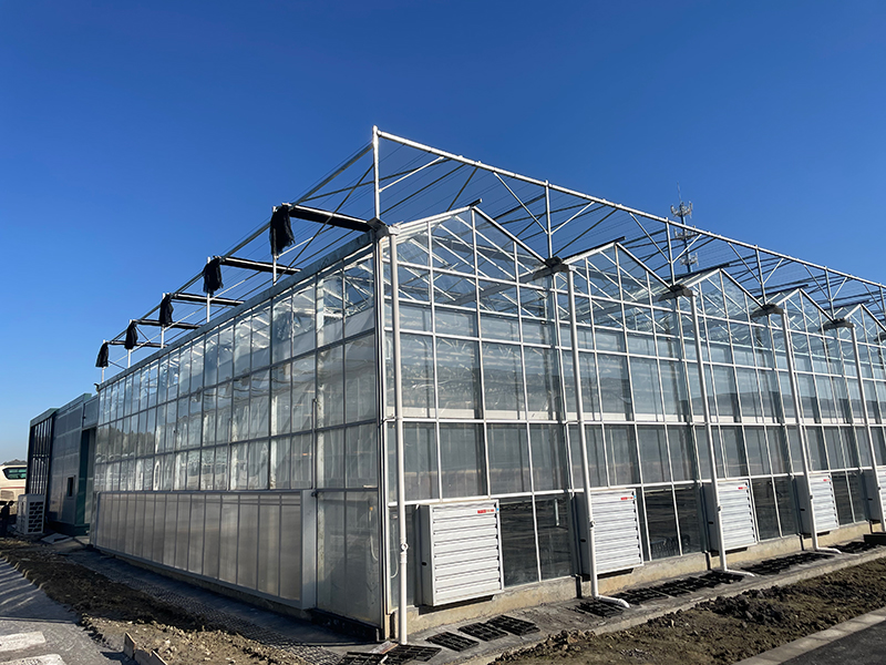 теплицы Венло