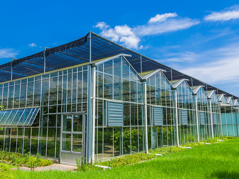 теплицы Венло