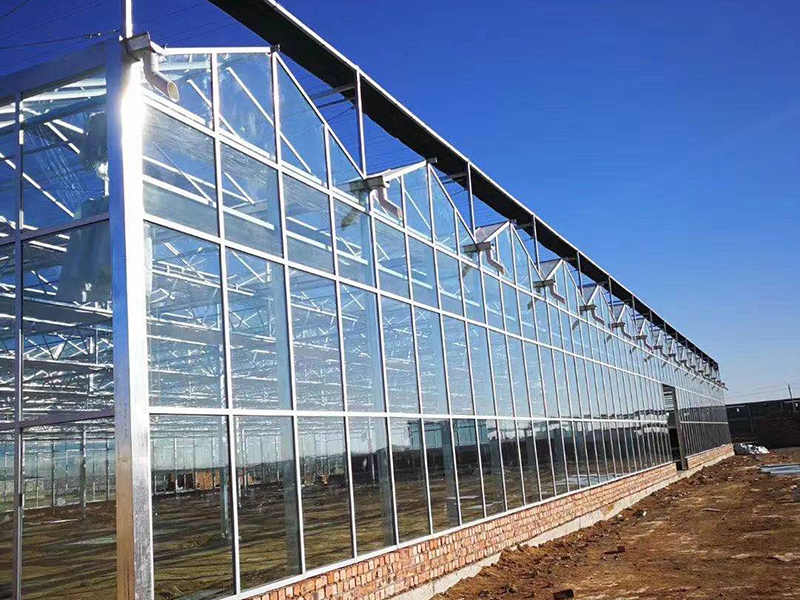 теплицы Венло