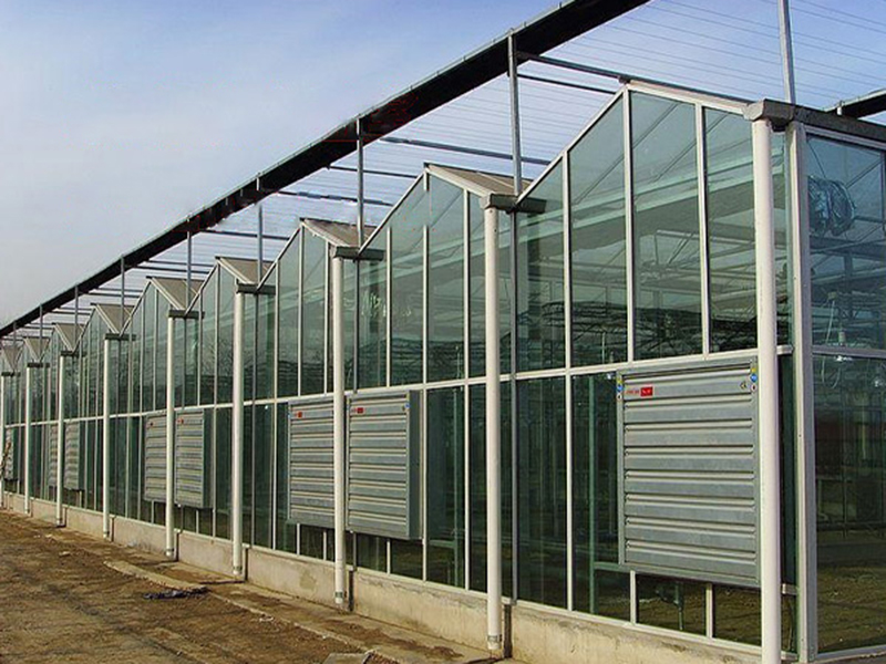 теплицы Венло