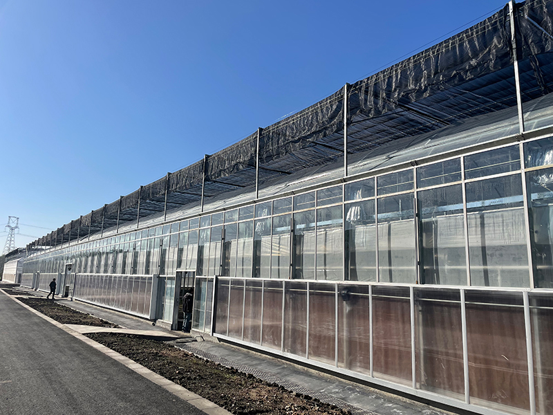 Multi Span теплицы