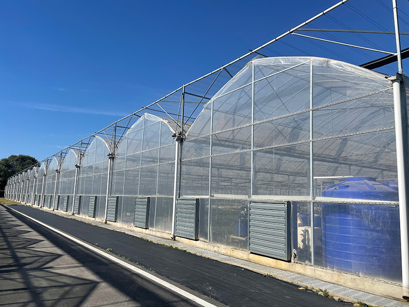 Multi Span теплицы