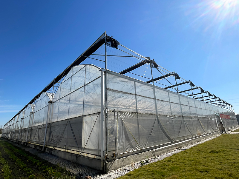Multi Span теплицы