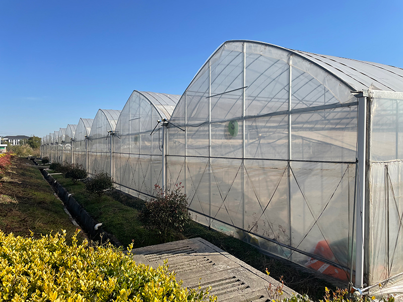 Multi Span теплицы