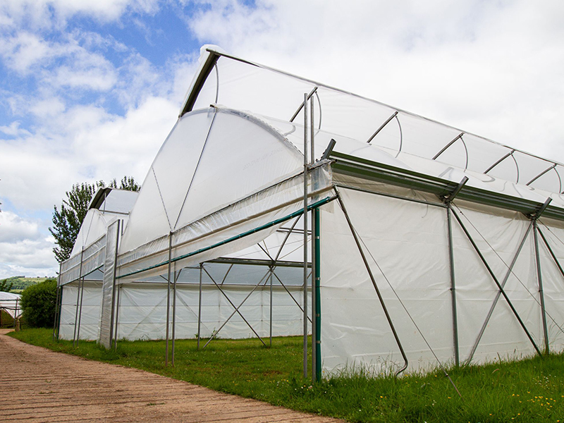 Multi Span теплицы