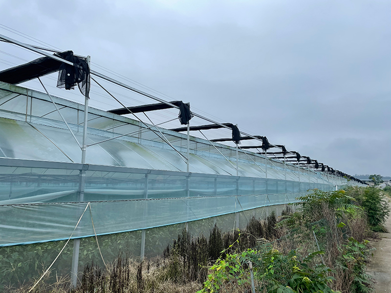 Multi Span теплицы