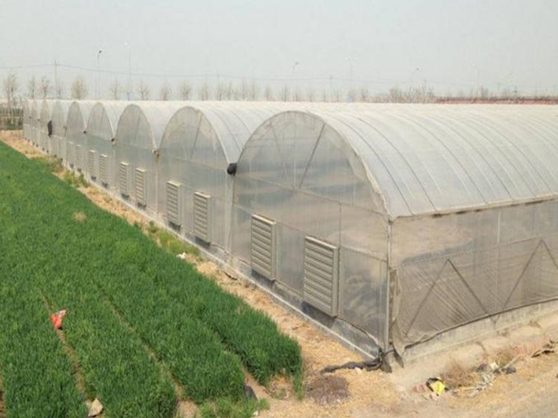 Multi Span теплицы