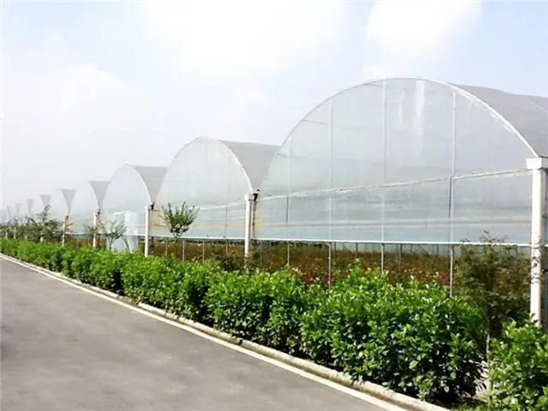 Multi Span теплицы