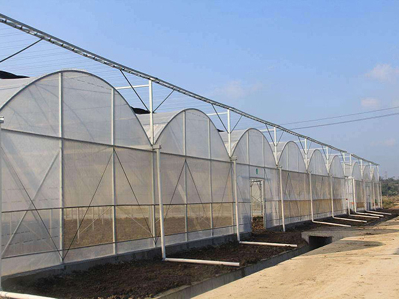 Multi Span теплицы