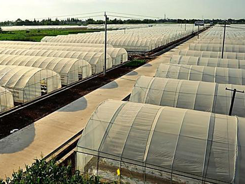 туннельная арка